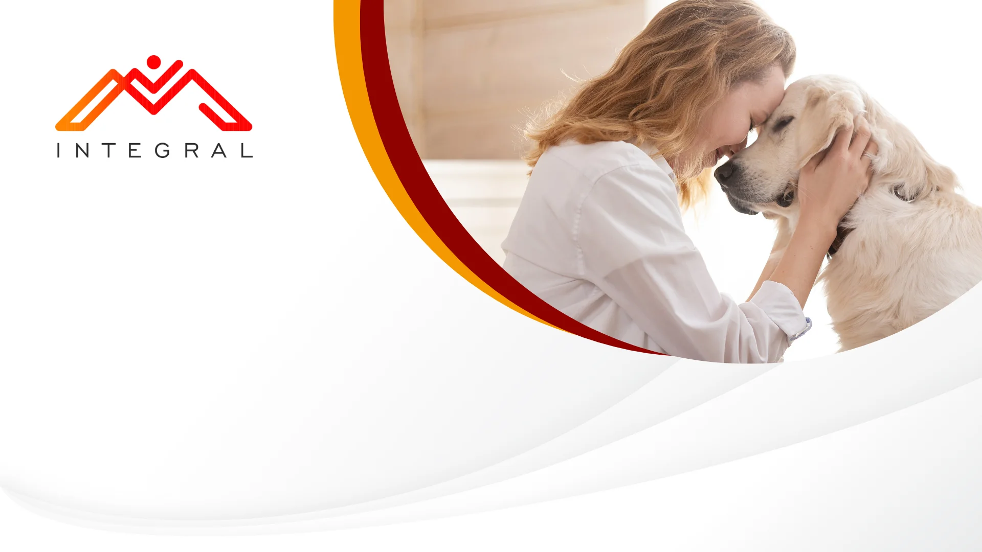 Luto por mascotas en Colombia: Ley 2466 de 2025 y licencia laboral